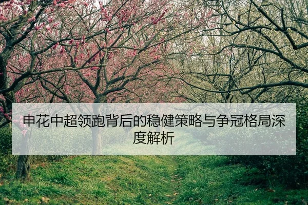 申花中超领跑背后的稳健策略与争冠格局深度解析