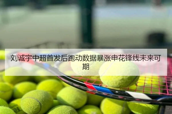 刘诚宇中超首发后跑动数据暴涨申花锋线未来可期