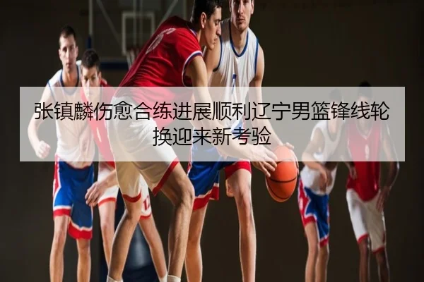 张镇麟伤愈合练进展顺利辽宁男篮锋线轮换迎来新考验