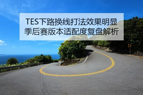 TES下路换线打法效果明显 季后赛版本适配度复盘解析